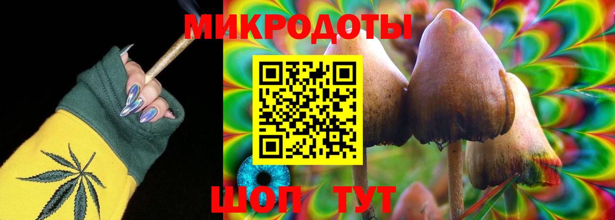 Галлюциногенные грибы Psilocybine cubensis Тимашёвск