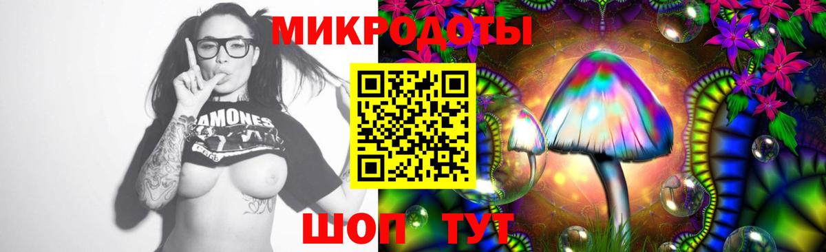 Галлюциногенные грибы прущие грибы  Вход с VPN  Тимашёвск  Псилоцибиновые грибы Psilocybe 
